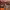 https://res.cloudinary.com/billionhands/image/upload/v1779550001/items/nrte1vrcxdyylw59c3p1.jpg-3cover