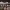 https://res.cloudinary.com/billionhands/image/upload/v1779550006/items/hln4nb10yq3qvv05rxd0.jpg-3cover