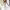 Cizzy Bridal Gown with Intricate Lace and Flowing Silhouettes cover
