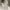 Cizzy Bridal CZ2026 Ox Gown cover