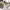 https://res.cloudinary.com/billionhands/image/upload/v1779550303/items/yioarwr3wqr4hbrn5cuc.jpg-3cover