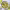 https://res.cloudinary.com/billionhands/image/upload/v1779554318/items/yreuxiwewdjm3kseccti.webp-2cover