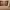 https://res.cloudinary.com/billionhands/image/upload/v1779562026/items/axhs1ujwbv5bte23b00c.jpg-3cover