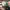 https://res.cloudinary.com/billionhands/image/upload/v1779562624/items/zelqgb5um3uleaoghwue.jpg-3cover