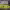 https://res.cloudinary.com/billionhands/image/upload/v1779563964/items/hvbvntbl1ixdypd10nzn.jpg-0cover