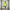 https://res.cloudinary.com/billionhands/image/upload/v1779564639/items/xiyflz36jd6ua0p7falt.webp-0cover