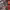 https://res.cloudinary.com/billionhands/image/upload/v1779564963/items/u0onm4wrtmcfv6dysnz2.avif-3cover
