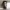 https://res.cloudinary.com/billionhands/image/upload/v1779571681/items/sy5tf593pernhvgxlw8d.png-2cover