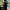 https://res.cloudinary.com/billionhands/image/upload/v1779576186/items/xyfgzmdnbm3qdm6sxnep.jpg-3cover