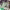 https://res.cloudinary.com/billionhands/image/upload/v1779580034/items/ohuksn5aqmybdffdemle.jpg-2cover