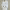 https://res.cloudinary.com/billionhands/image/upload/v1779582878/items/owv8mdzowkggmfswtk10.webp-2cover