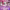 https://res.cloudinary.com/billionhands/image/upload/v1779583461/items/ltz8ulaqpo6nxw6uyqfr.jpg-2cover