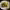 https://res.cloudinary.com/billionhands/image/upload/v1779583574/items/oaon851jcsotvpfwc9fi.webp-2cover