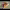 https://res.cloudinary.com/billionhands/image/upload/v1779584363/items/mr84iblubzmucvdj3grg.jpg-3cover