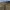 https://res.cloudinary.com/billionhands/image/upload/v1779585944/items/dhgnxhxofjd1ummck0rv.jpg-1cover