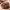 https://res.cloudinary.com/billionhands/image/upload/v1779586608/items/hbseaxiuisi2s0dmj1h6.jpg-0cover