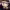 https://res.cloudinary.com/billionhands/image/upload/v1779586615/items/srpualxbyfrwgukk9wyr.jpg-2cover