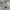 https://res.cloudinary.com/billionhands/image/upload/v1779587414/items/htffkosdyb3km3noofzl.jpg-3cover