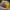 https://res.cloudinary.com/billionhands/image/upload/v1779592904/items/kr5nzol35kn9w4sovsns.jpg-2cover