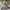 https://res.cloudinary.com/billionhands/image/upload/v1779592905/items/r73yqfmvnlxvmf7uflb0.jpg-3cover
