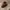 https://res.cloudinary.com/billionhands/image/upload/v1779593463/items/blq2lrpuwzecriegbfmw.jpg-0cover