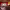 https://res.cloudinary.com/billionhands/image/upload/v1779594753/items/tndxphadlodisael9zu8.jpg-3cover