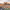 https://res.cloudinary.com/billionhands/image/upload/v1779595936/items/ekhbgevxf5vcbsjgl0qc.jpg-1cover