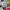 https://res.cloudinary.com/billionhands/image/upload/v1779598587/items/motooo0surtmcccennua.webp-0cover