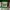 https://res.cloudinary.com/billionhands/image/upload/v1779598588/items/w4ljbgjtboxzzulz6bvv.jpg-1cover