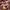 https://res.cloudinary.com/billionhands/image/upload/v1779599106/items/stw7whxfmzxew83v6xau.jpg-1cover