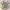 https://res.cloudinary.com/billionhands/image/upload/v1779599985/items/six7lgi7ezy196qvyfg2.jpg-1cover