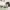 https://res.cloudinary.com/billionhands/image/upload/v1779601626/items/n5ij8ylavelckrnipqav.webp-3cover