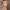 https://res.cloudinary.com/billionhands/image/upload/v1779603193/items/uhukm5bvtuusviivghpu.png-3cover