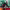 https://res.cloudinary.com/billionhands/image/upload/v1779607002/items/bnybnlrl6nflybitkwxu.jpg-0cover