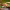Fresh Dishes Buffet with Salads and Appetizers cover
