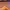 https://res.cloudinary.com/billionhands/image/upload/v1779609619/items/lpmhz0kbub3lbntaxosp.jpg-2cover