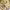 https://res.cloudinary.com/billionhands/image/upload/v1779614180/items/digfnd4mdppz1qj0mmwq.webp-1cover