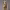 https://res.cloudinary.com/billionhands/image/upload/v1779618130/items/wvqzgbm6w5prfi9s1e38.jpg-2cover