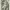 https://res.cloudinary.com/billionhands/image/upload/v1779618132/items/hlflkubfzoc3kkchignn.webp-2cover