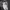 https://res.cloudinary.com/billionhands/image/upload/v1779618132/items/ircpgkjcpyde00hkdffj.jpg-0cover