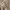 https://res.cloudinary.com/billionhands/image/upload/v1779618135/items/kqkoovtpvqrqogelrlvp.webp-3cover
