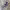 https://res.cloudinary.com/billionhands/image/upload/v1779621049/items/crp8rolya76tu8xudcc5.jpg-2cover