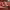https://res.cloudinary.com/billionhands/image/upload/v1779621335/items/rcdrir3abgpzhm310qqy.jpg-0cover