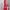 https://res.cloudinary.com/billionhands/image/upload/v1779622280/items/xqdduz9mxkcpgv0e9pzx.jpg-3cover