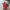 https://res.cloudinary.com/billionhands/image/upload/v1779622282/items/muy74mnnqvjtaqkmtxru.webp-2cover