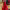 https://res.cloudinary.com/billionhands/image/upload/v1779622288/items/jamvgbhhbycyupdx1pu8.webp-3cover