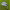 https://res.cloudinary.com/billionhands/image/upload/v1779622476/items/vndtj5oqd4ycckcjgf0v.jpg-2cover