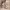 https://res.cloudinary.com/billionhands/image/upload/v1779622617/items/lzh4niw2bogm4rumrq2i.jpg-0cover