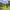 https://res.cloudinary.com/billionhands/image/upload/v1779622786/items/dqbqofrbqflv7hqa31ur.jpg-2cover