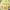 Solomillo de Cerdo en Salsa de Carne con Patatas Gratinadas al Queso Azul cover